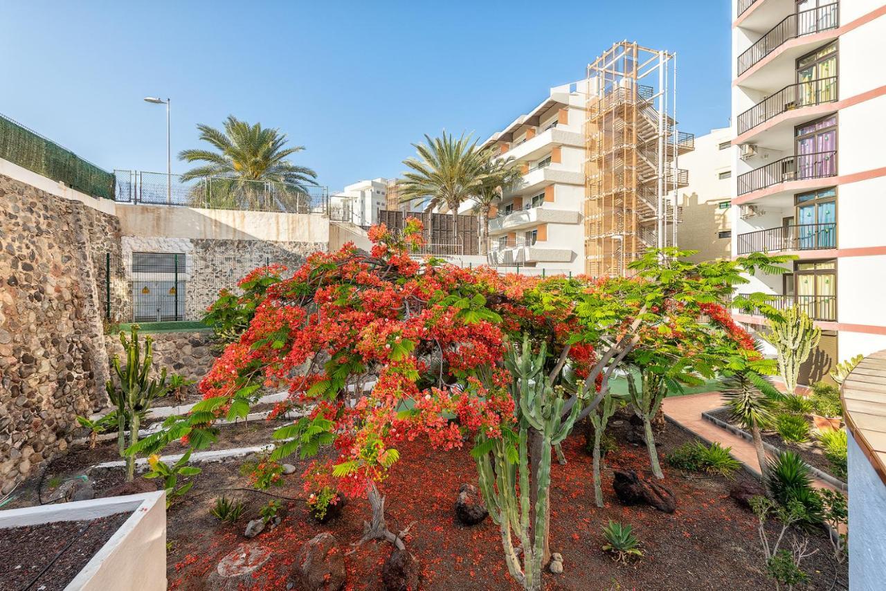 Pulpo Amarillo Apartment Playa del Ingles  Exterior photo